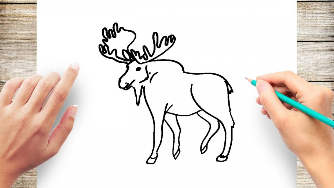 How to draw a moose