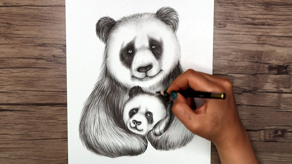 How to draw a panda and its baby step by step  Realistic animal drawing  tutorial