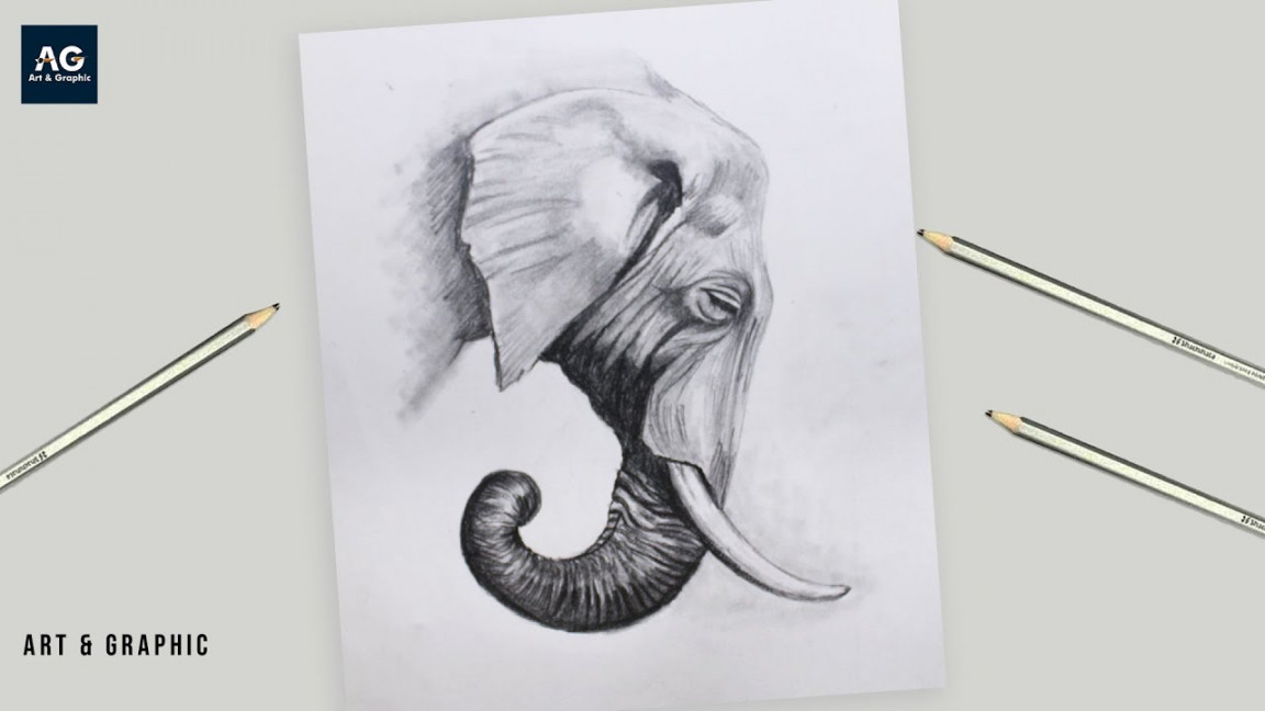 How to Draw a realistic Elephant face  Easy Pencil Drawing