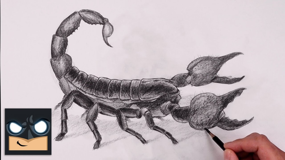 How To Draw a Scorpion  Sketch Tutorial