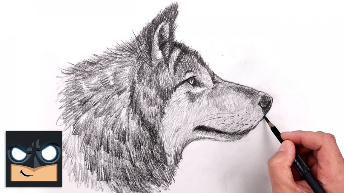 How To Draw a Wolf for Beginners  Sketch Art Lesson (Step by Step)