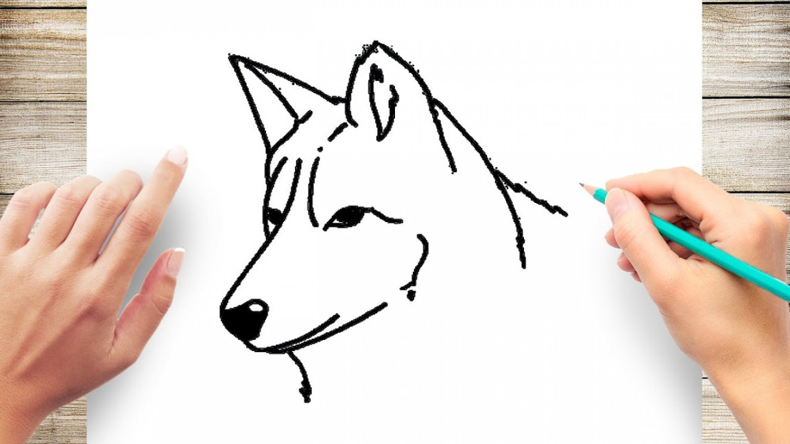 How to Draw a Wolf Head Step by Step