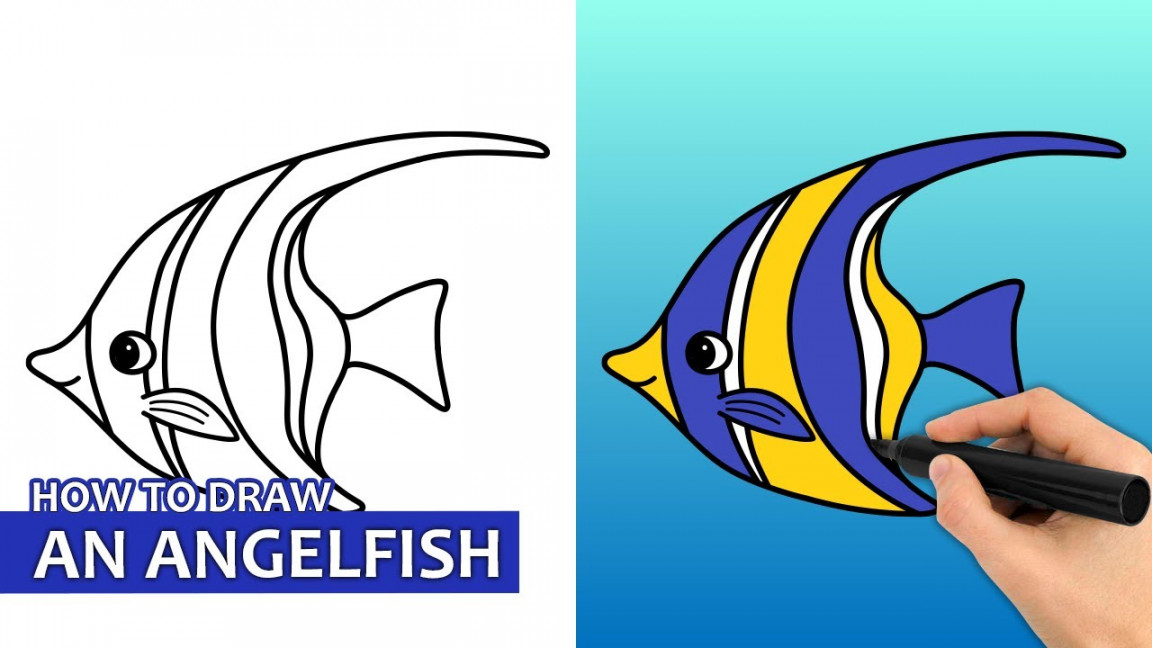 How To Draw An Angelfish (Easy Drawing Tutorial)