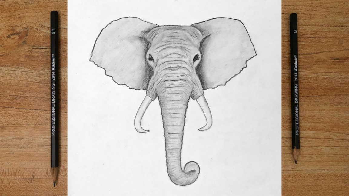 How to draw an ELEPHANT easy step by step for beginners