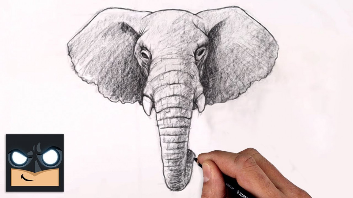 How To Draw an ELEPHANT  Sketch Saturday