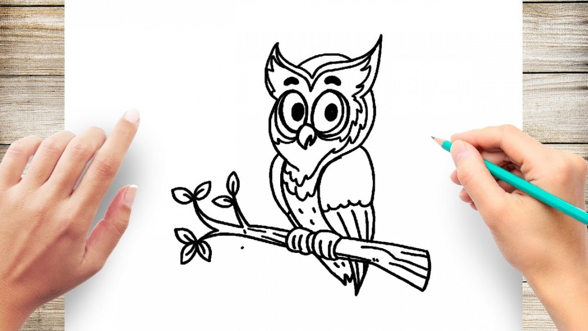 How to Draw An Owl In A Tree