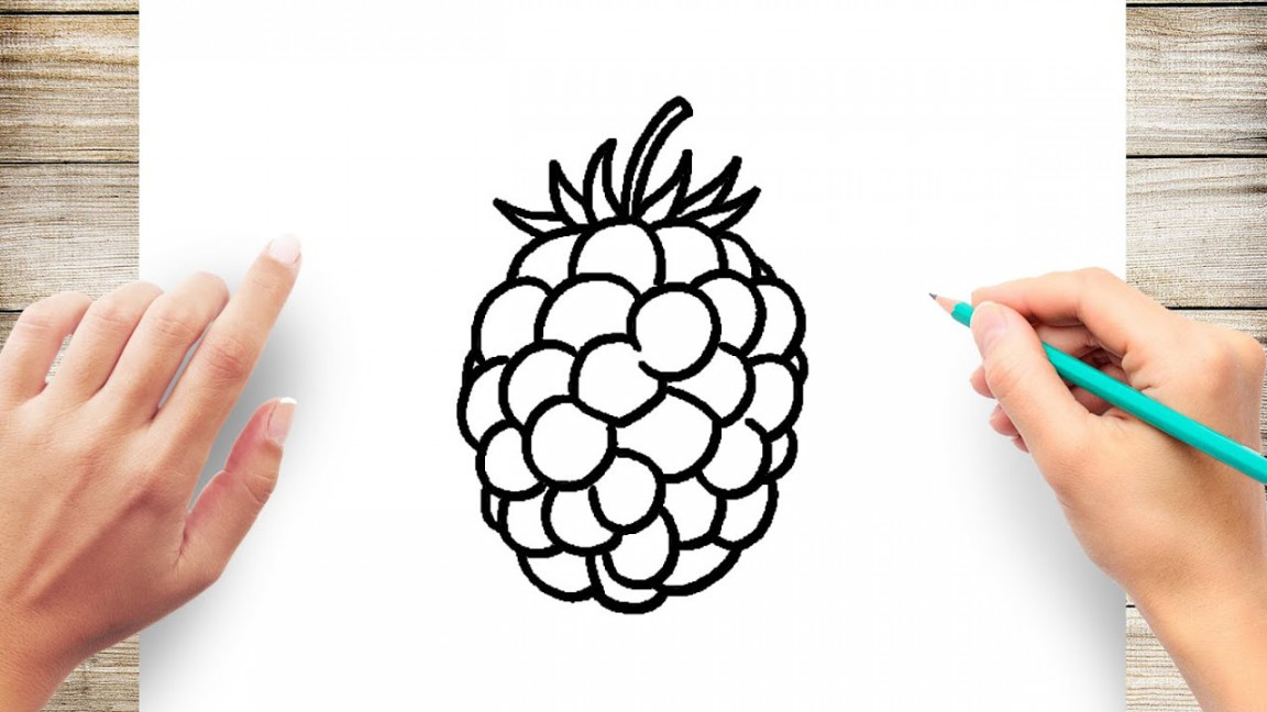 How To Draw Blackberry Easy