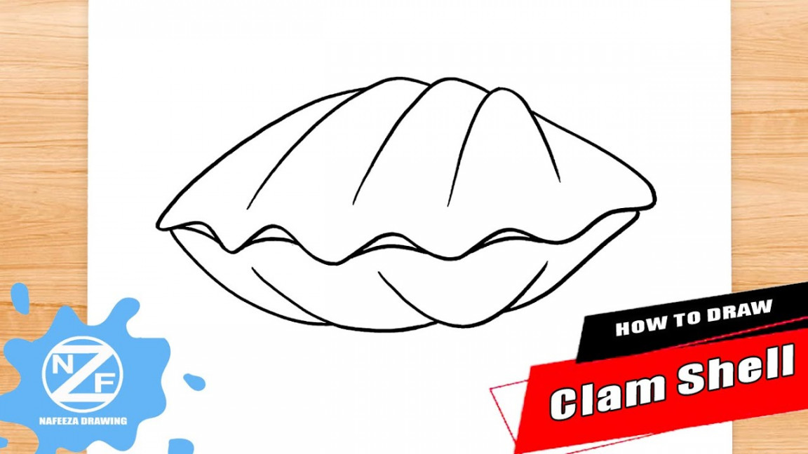 How to Draw Clam Shell