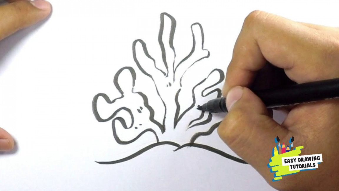 How to Draw Coral