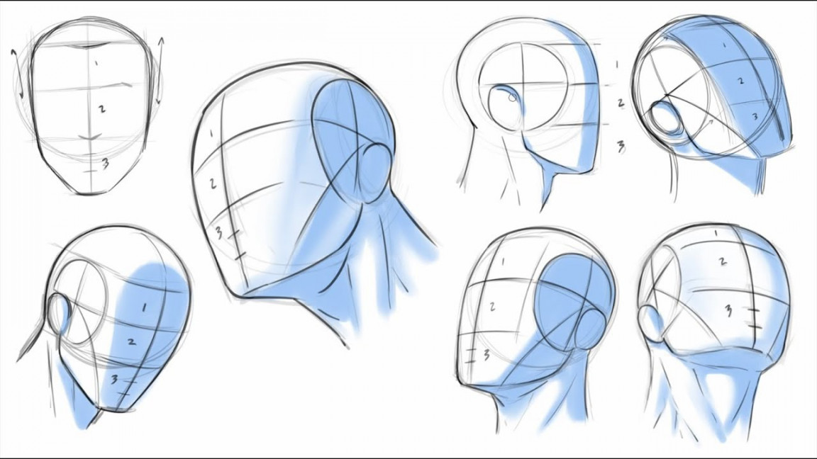 How to Draw Heads - Dividing it Into Thirds