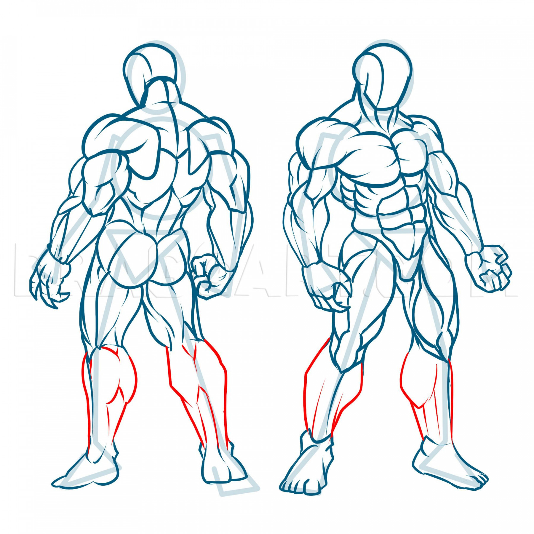 How To Draw Muscles, Step by Step, Drawing Guide, by KingTutorial