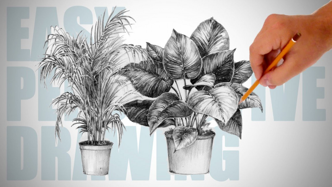 How to draw plants - Easy Perspective Drawing