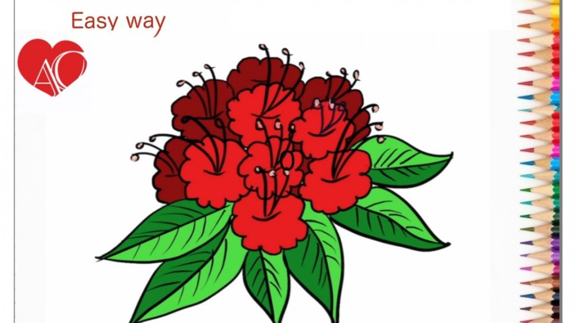 How to draw rhododendron flower in easy way