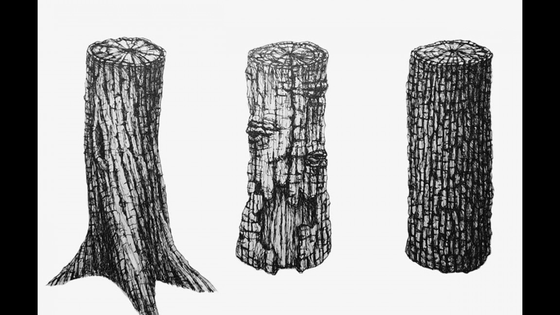 How To Draw Tree Trunks  Rendering And Texturing   of