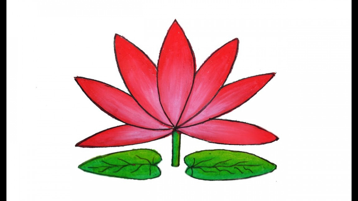 How to draw Water lily easy and simple, Shapla ful Art