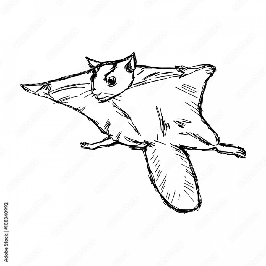 illustration vector hand draw doodles of flying squirrel Stock