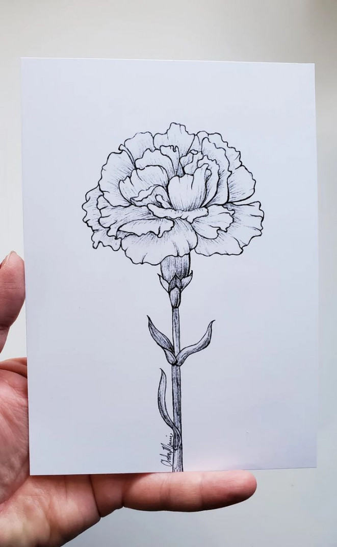 Inked Carnation Print January Birth Flower - Etsy  Flower drawing