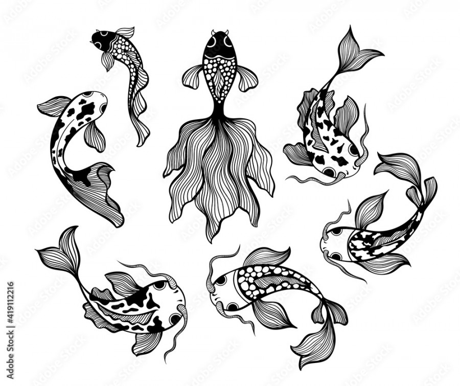 Japanese fish set, carp koi line drawing vector illustrations