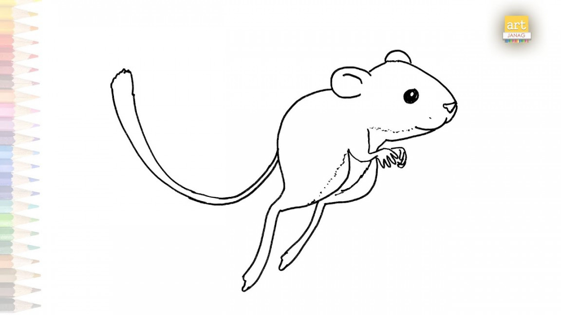 Kangaroo rat drawing  Rat drawing tutorials  How to draw Kangaroo rat  step by step  Rodents art