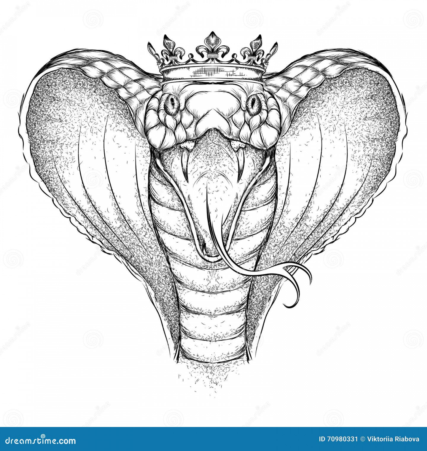 King Cobra Drawing Stock Illustrations –  King Cobra Drawing