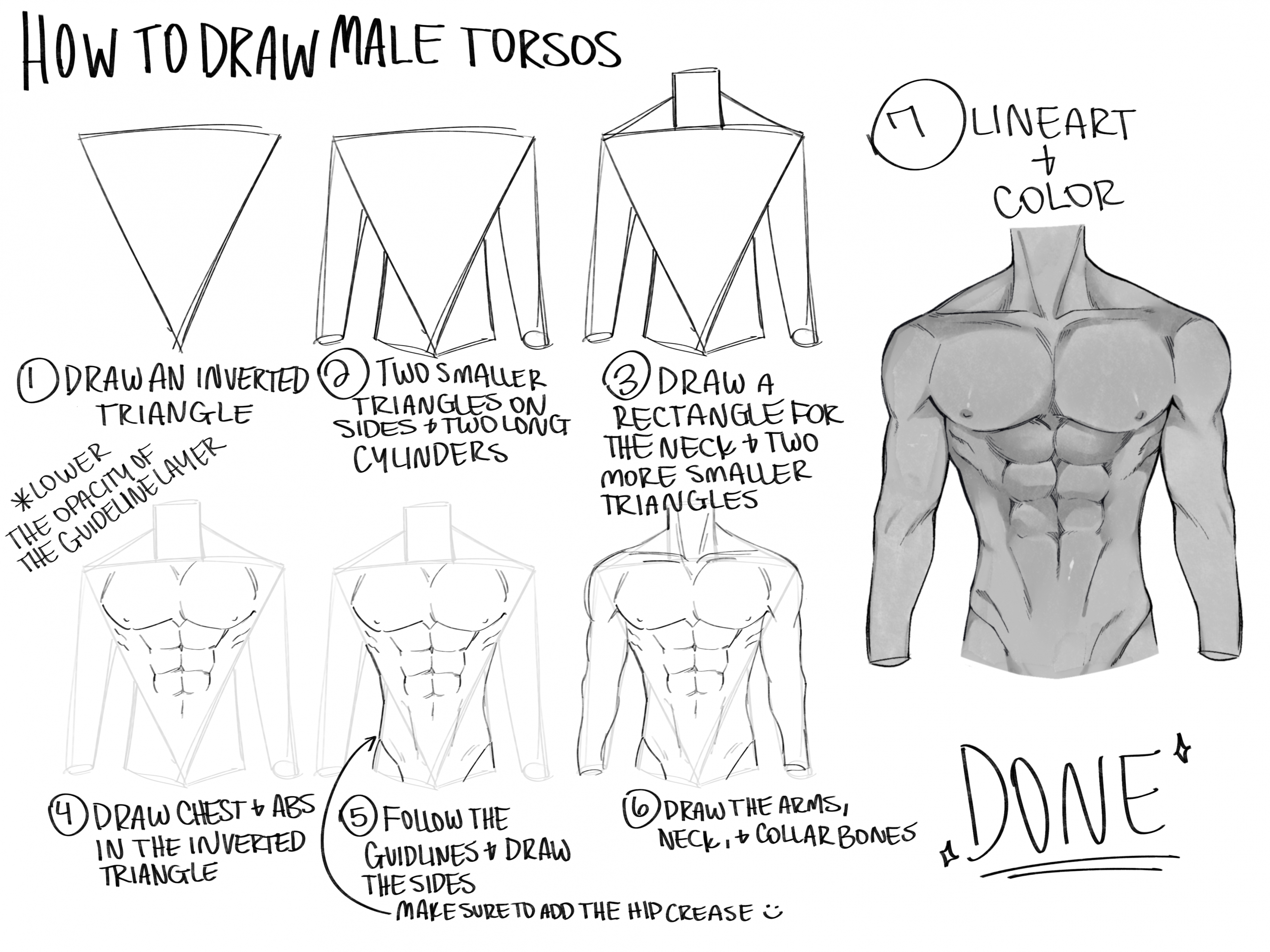 male torso art tutorial  Guy drawing, Human body drawing, Male