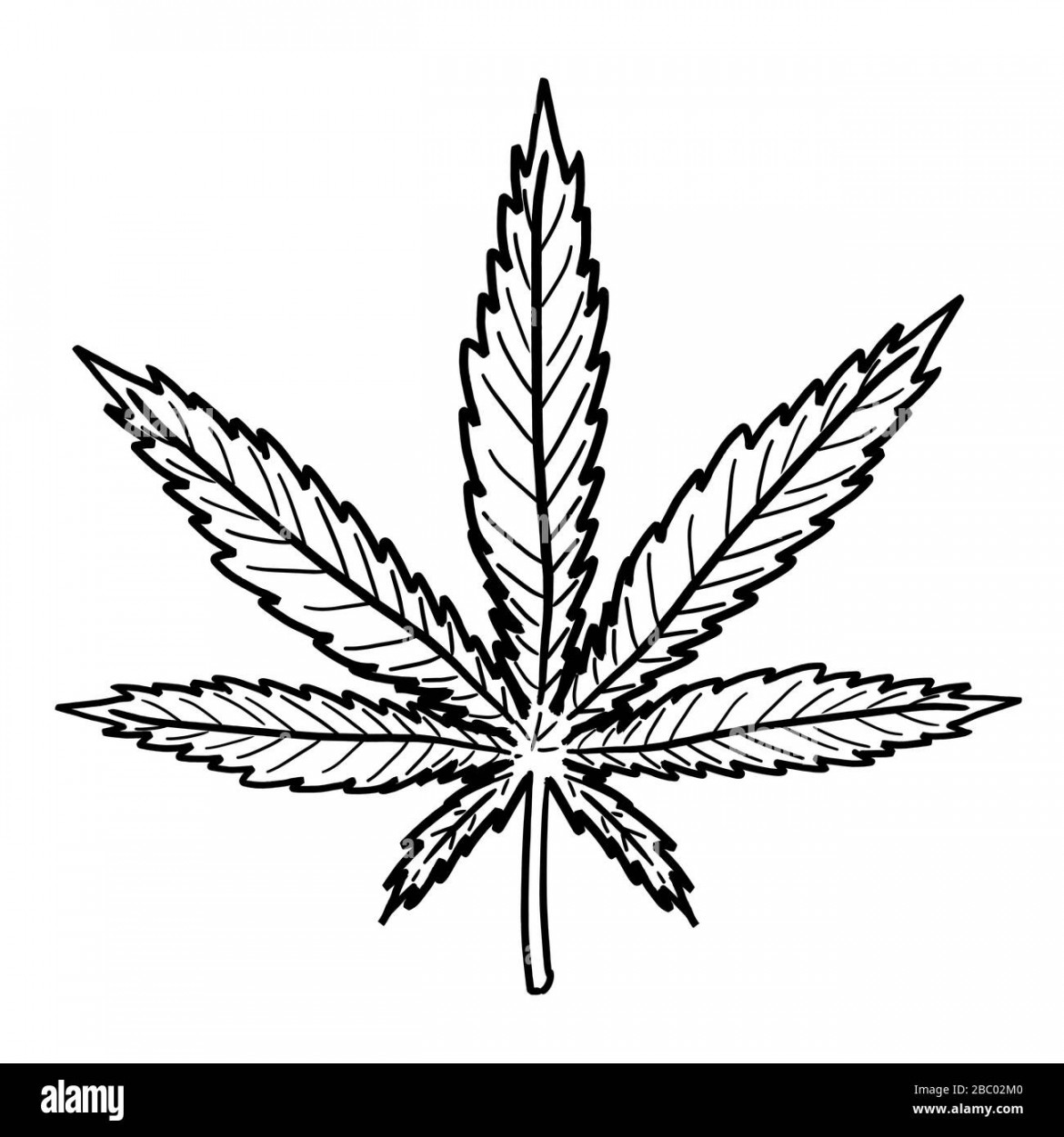 Marijuana leaf drawing