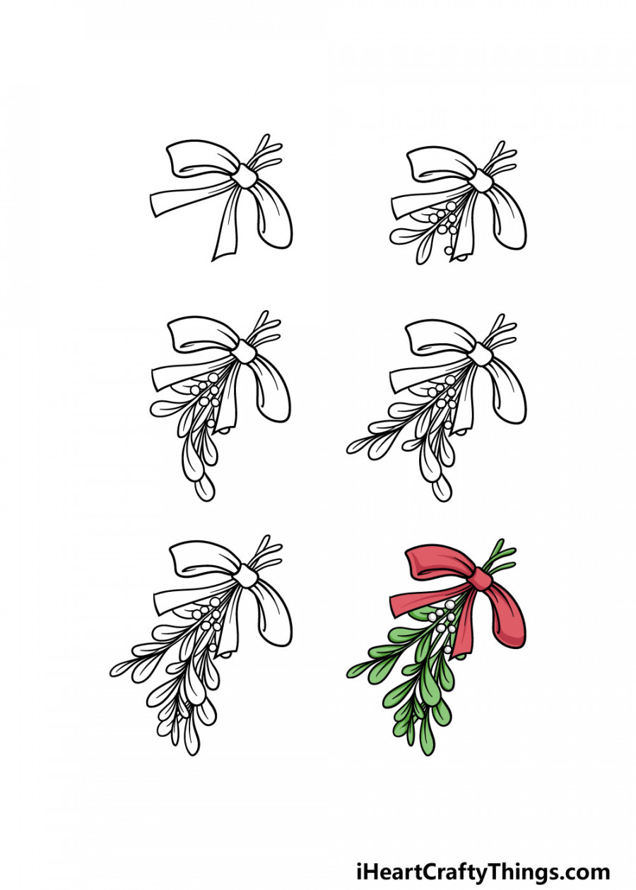 Mistletoe Drawing - How To Draw A Mistletoe Step By Step