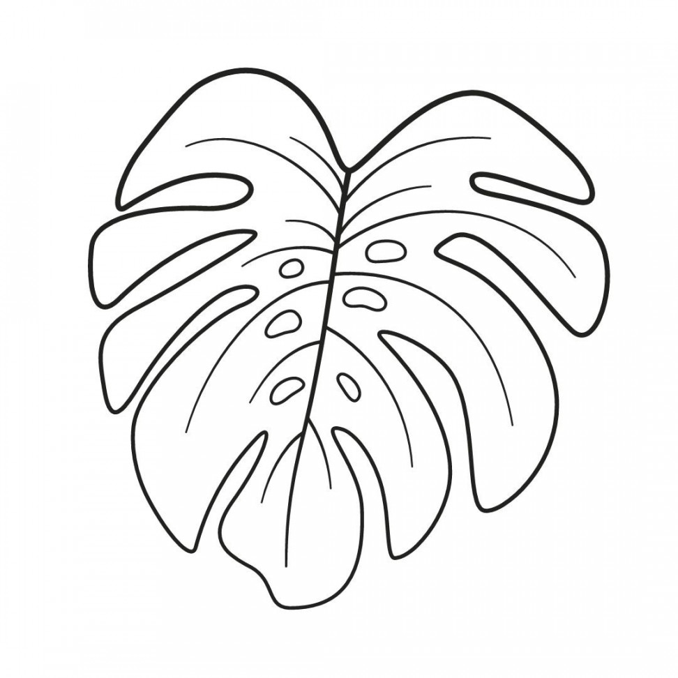 Monstera Plant Line Art Digitaler Download - Etsy