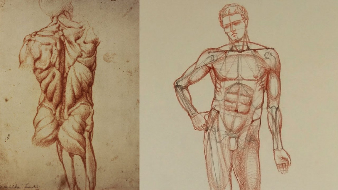 Muscles of the Body - Anatomy Master Class