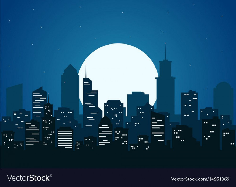 Night city vector illustration