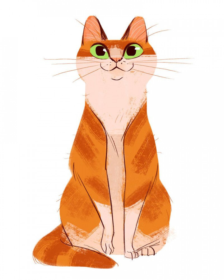 : Orange Kitty LIKE THIS SOO MUCH!  Cartoon cat drawing, Cat