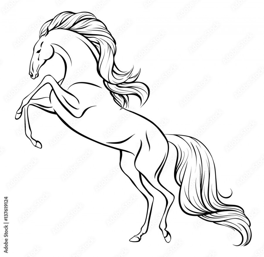 Outline vector drawing of a rearing horse with long mane and tail