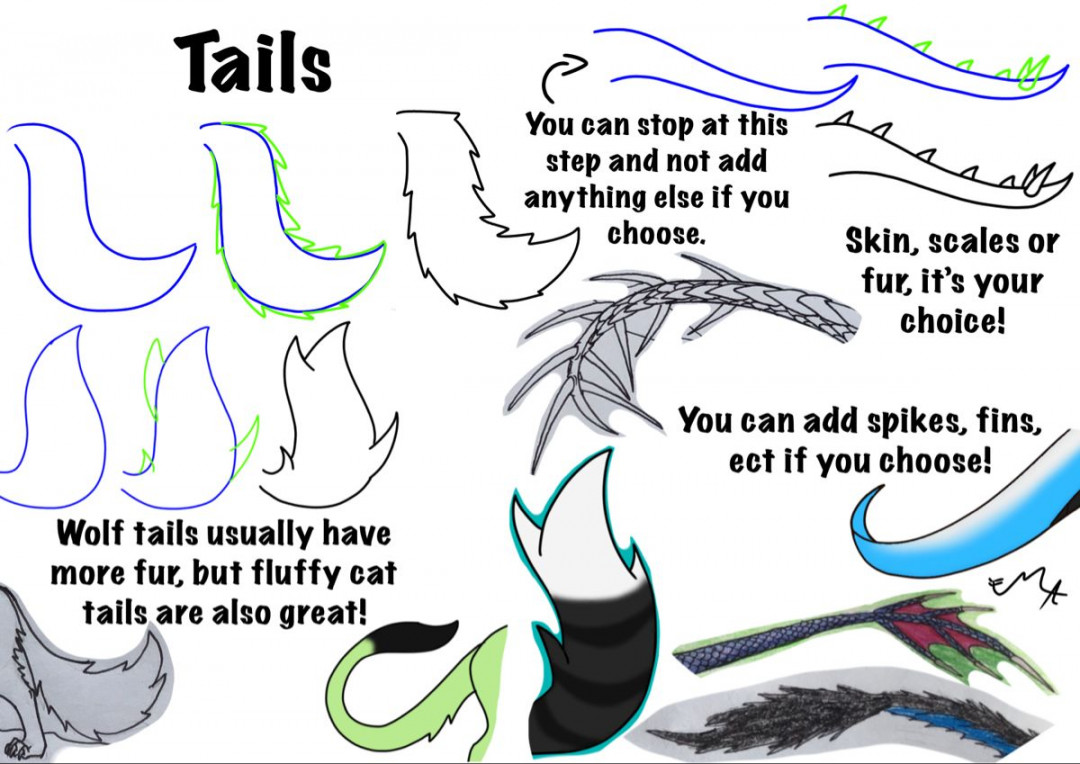 Pin by Courtney Block on drawing tips/ideas  Cat tail drawing