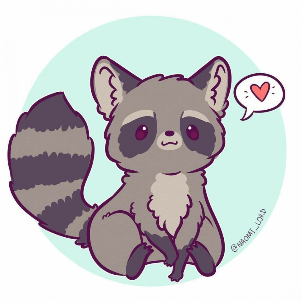 Pin by mayuri-sama on arte  Cute animal drawings, Cute raccoon