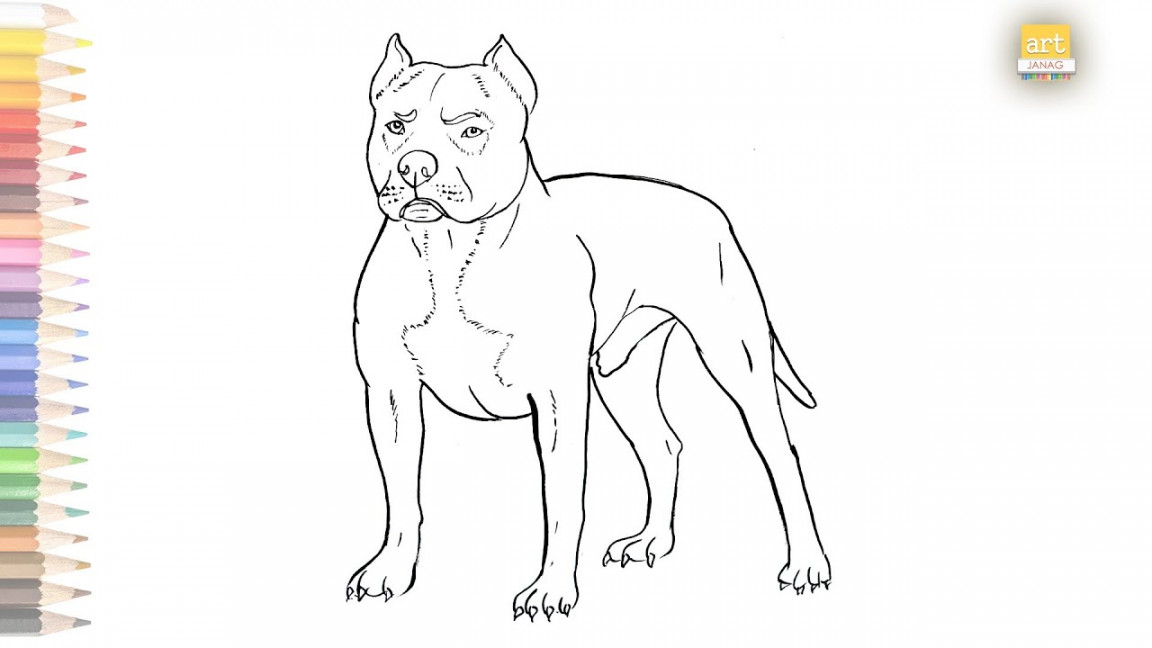 Pitbull dog outline drawing / How to draw A Pitbull step by step / #artjanag