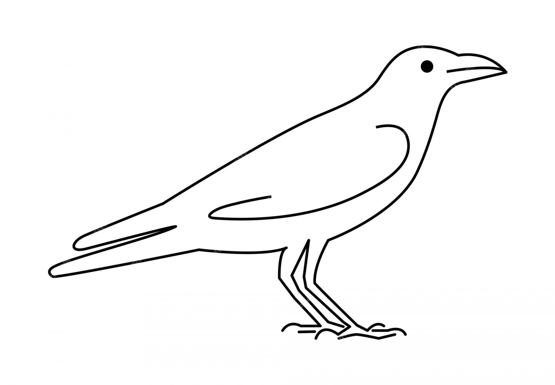 Premium Vector  Black raven line drawing