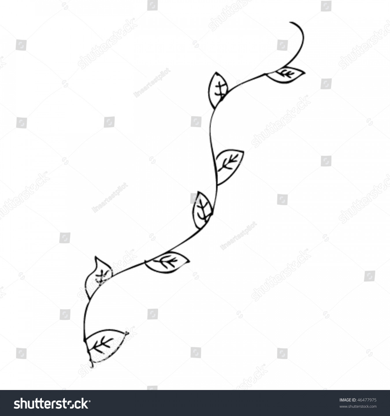 Quick Drawing Vine Leaves Stock Vector (Royalty Free)