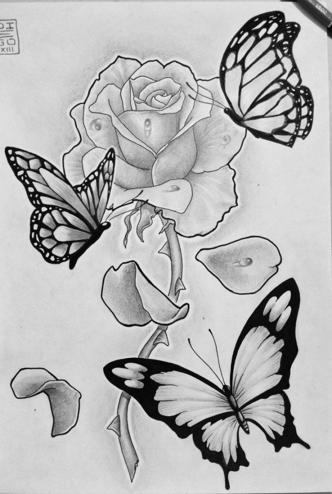 rose and butterflies by Zetas-Art on deviantART  Rose and