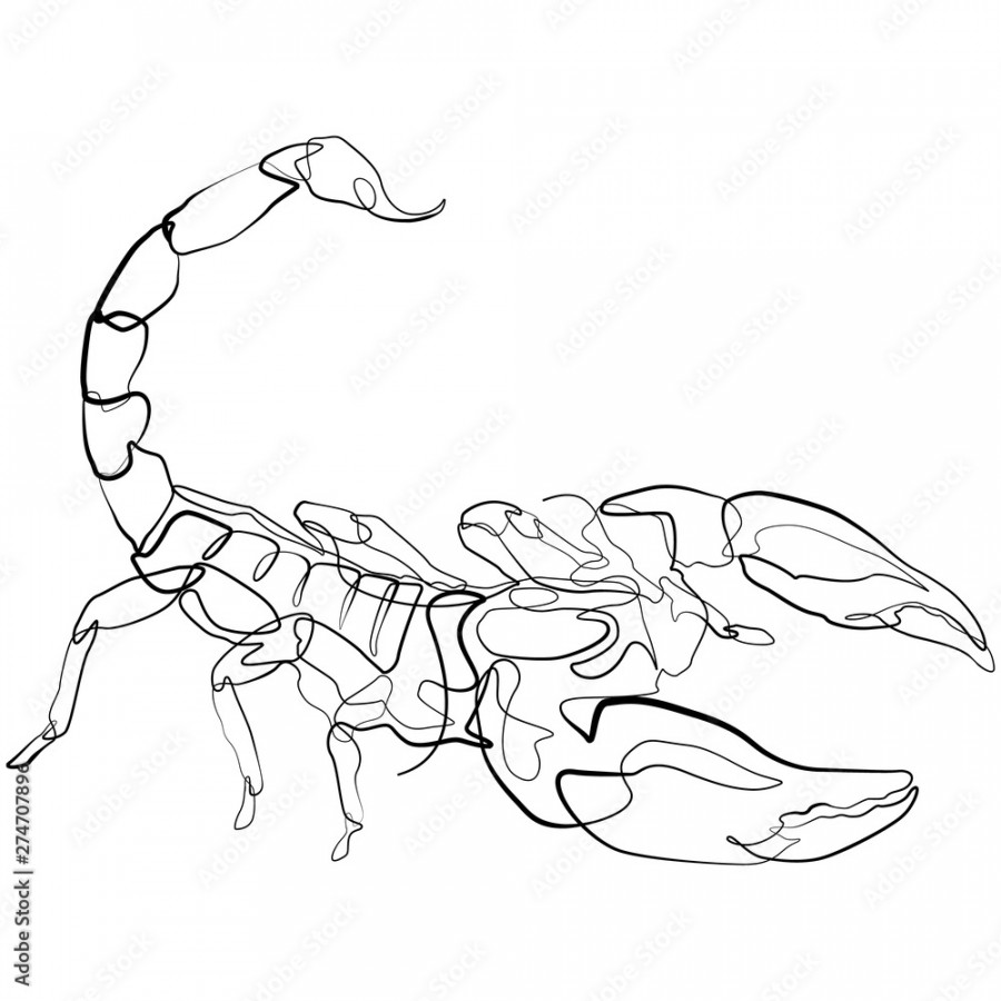 Scorpion one line drawing