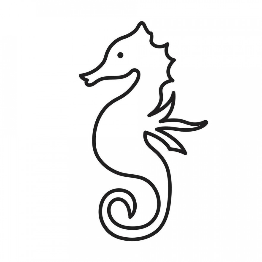 Seahorse Outline Vector Art, Icons, and Graphics for Free Download