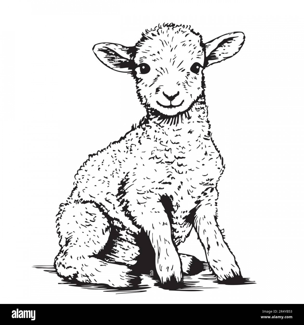 Seated lamb sketch, hand drawn in doodle style Farm animals Vector