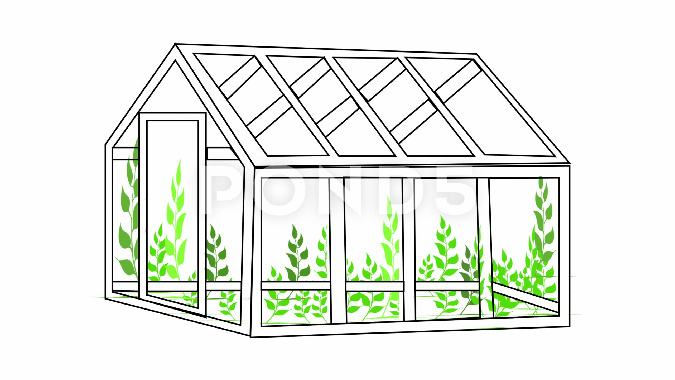 Self drawing animation of greenhouse and green plants growing inside