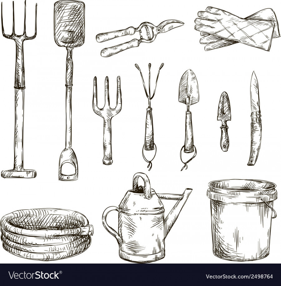 Set of gardening tools drawings Royalty Free Vector Image