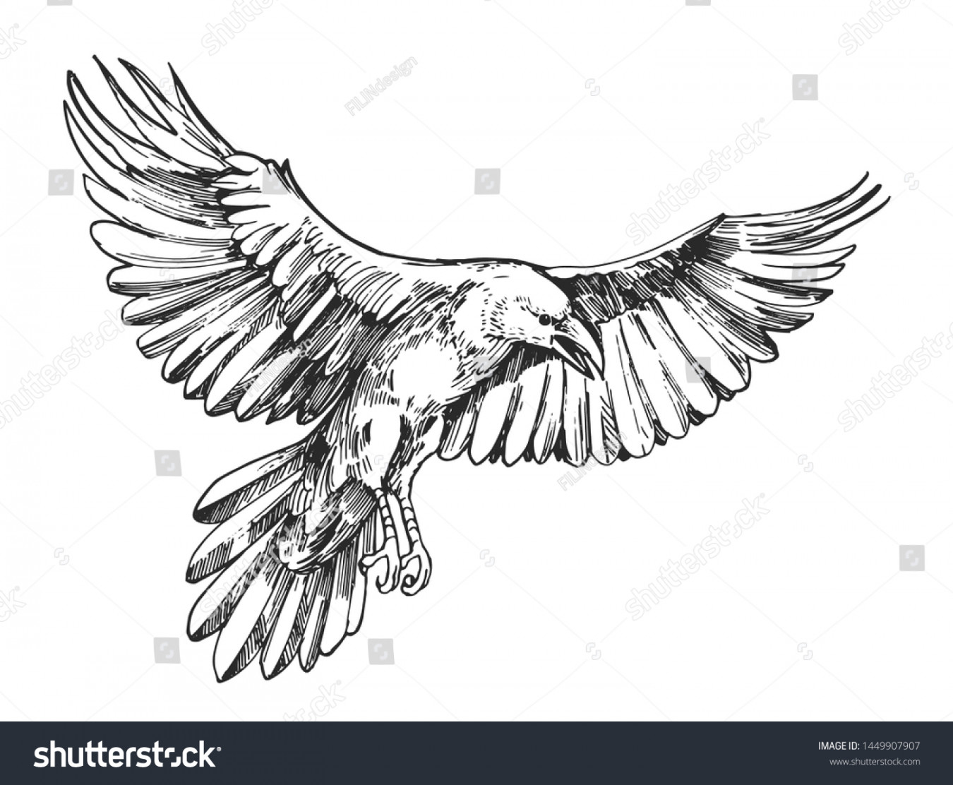 Sketch Flying Raven Hand Drawn Illustration: Stock-Vektorgrafik