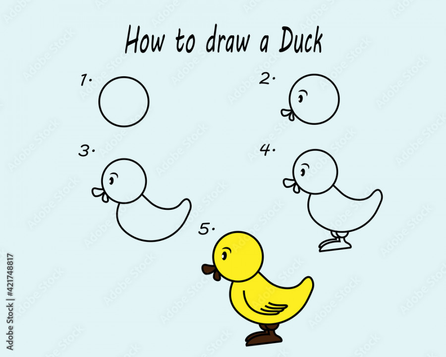 Step by step to draw a Duck. Drawing tutorial a Duck