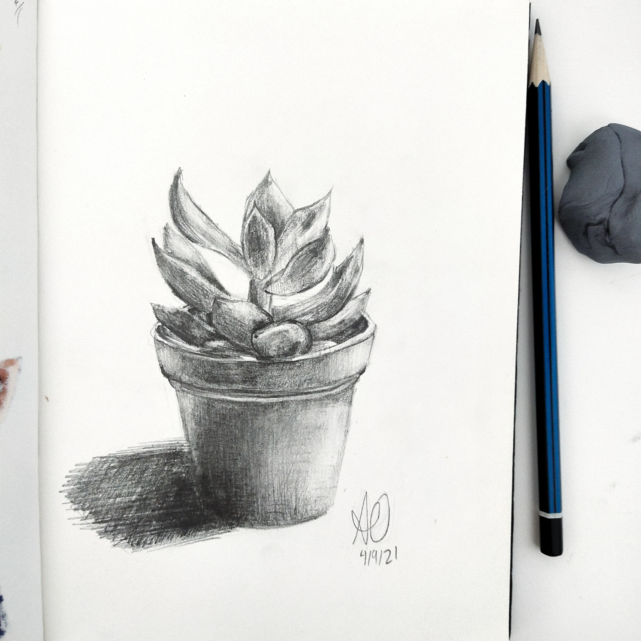 STILL LIFE DRAWING on Behance