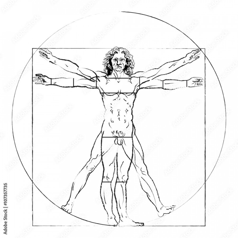 The Vitruvian man