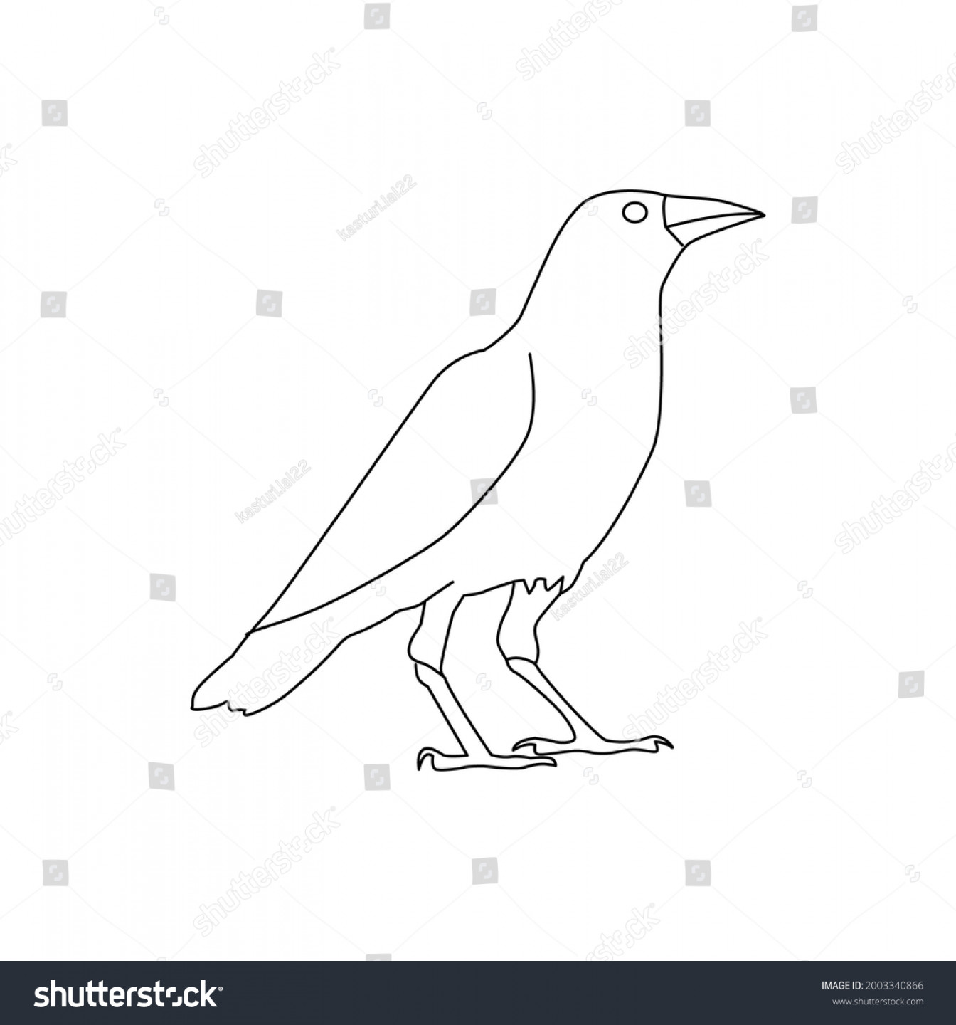 + Thousand Crow Line Drawing Royalty-Free Images, Stock Photos