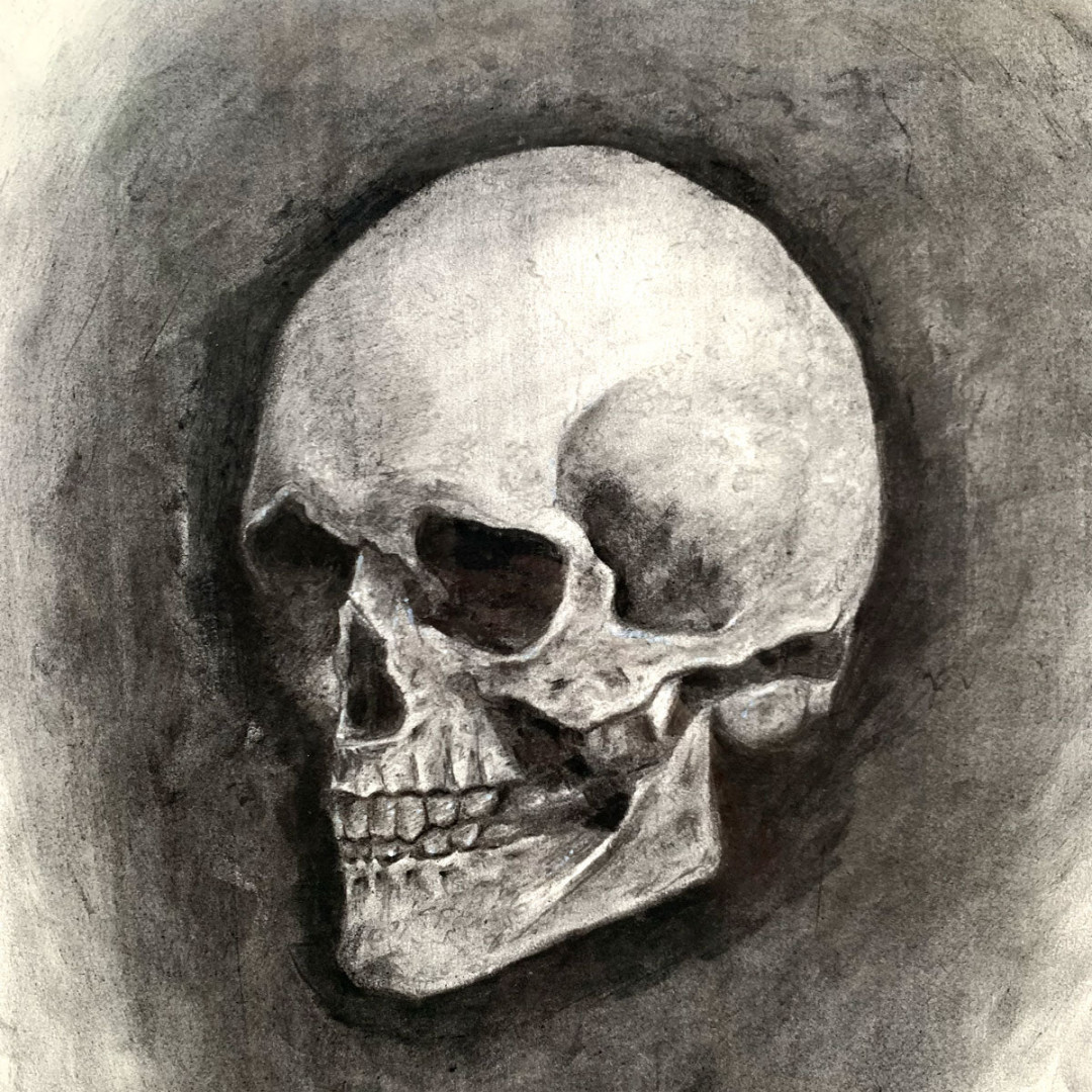 Time" Skull Charcoal Drawing  Human Skull Drawing for Sale