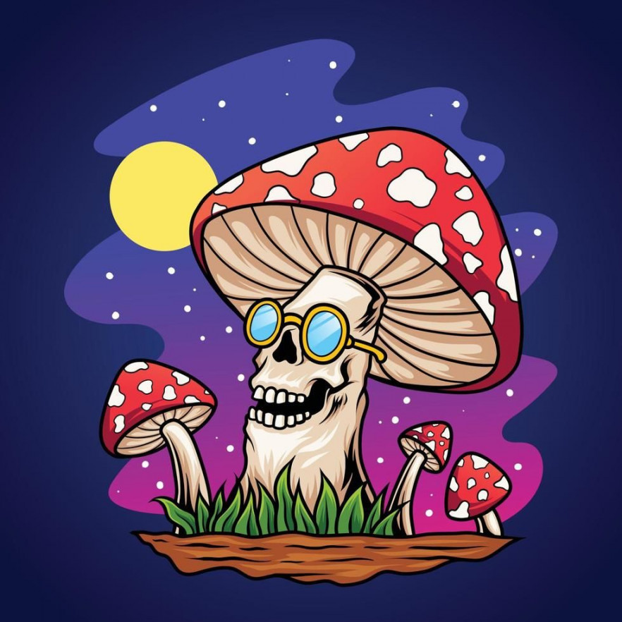 Trippy skull mushroom cartoon  Mushroom drawing, Trippy drawings